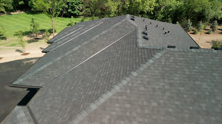 Best Roof Ventilation Installation  in Bear Valley Springs, CA